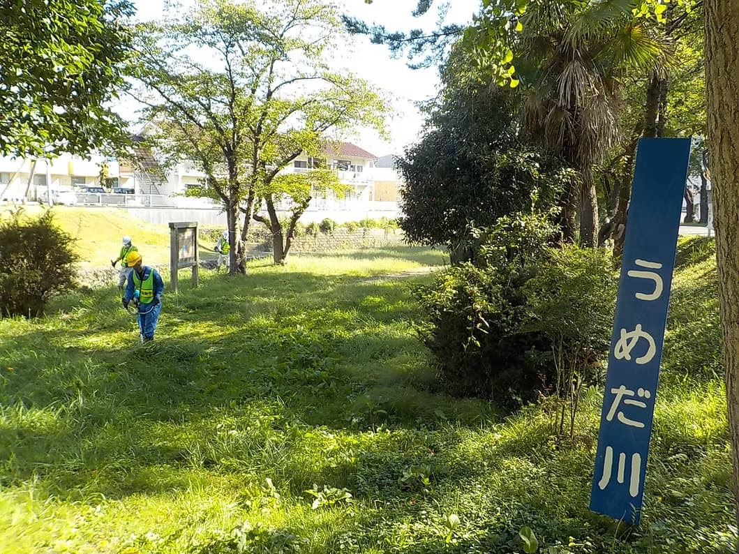 梅田川の清掃活動を行いました